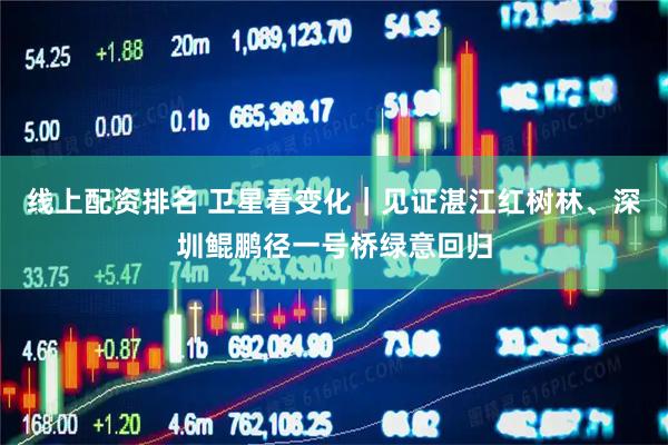 线上配资排名 卫星看变化｜见证湛江红树林、深圳鲲鹏径一号桥绿意回归