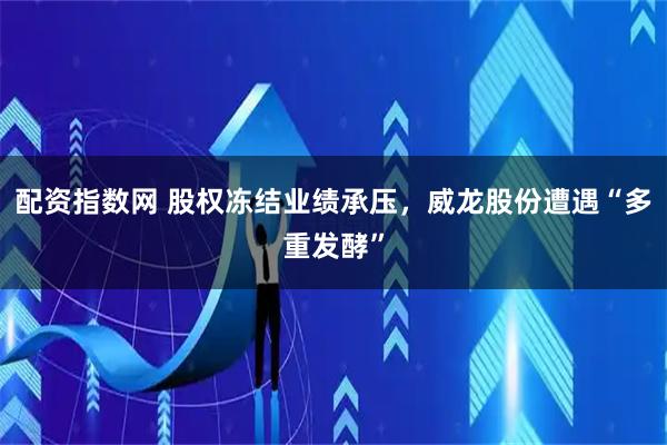 配资指数网 股权冻结业绩承压，威龙股份遭遇“多重发酵”