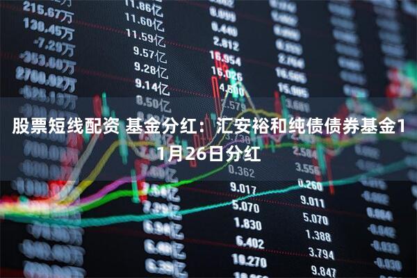 股票短线配资 基金分红：汇安裕和纯债债券基金11月26日分红