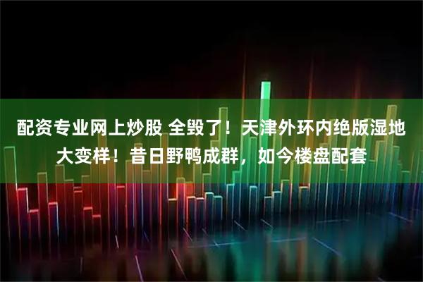 配资专业网上炒股 全毁了！天津外环内绝版湿地大变样！昔日野鸭成群，如今楼盘配套