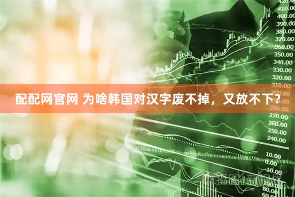 配配网官网 为啥韩国对汉字废不掉，又放不下？